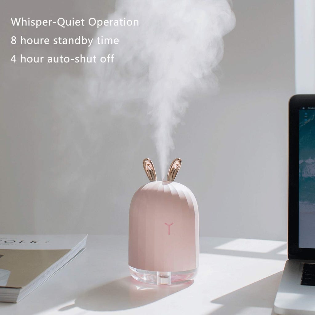 Best Personal Humidifiers 2019 For Desk Office Home