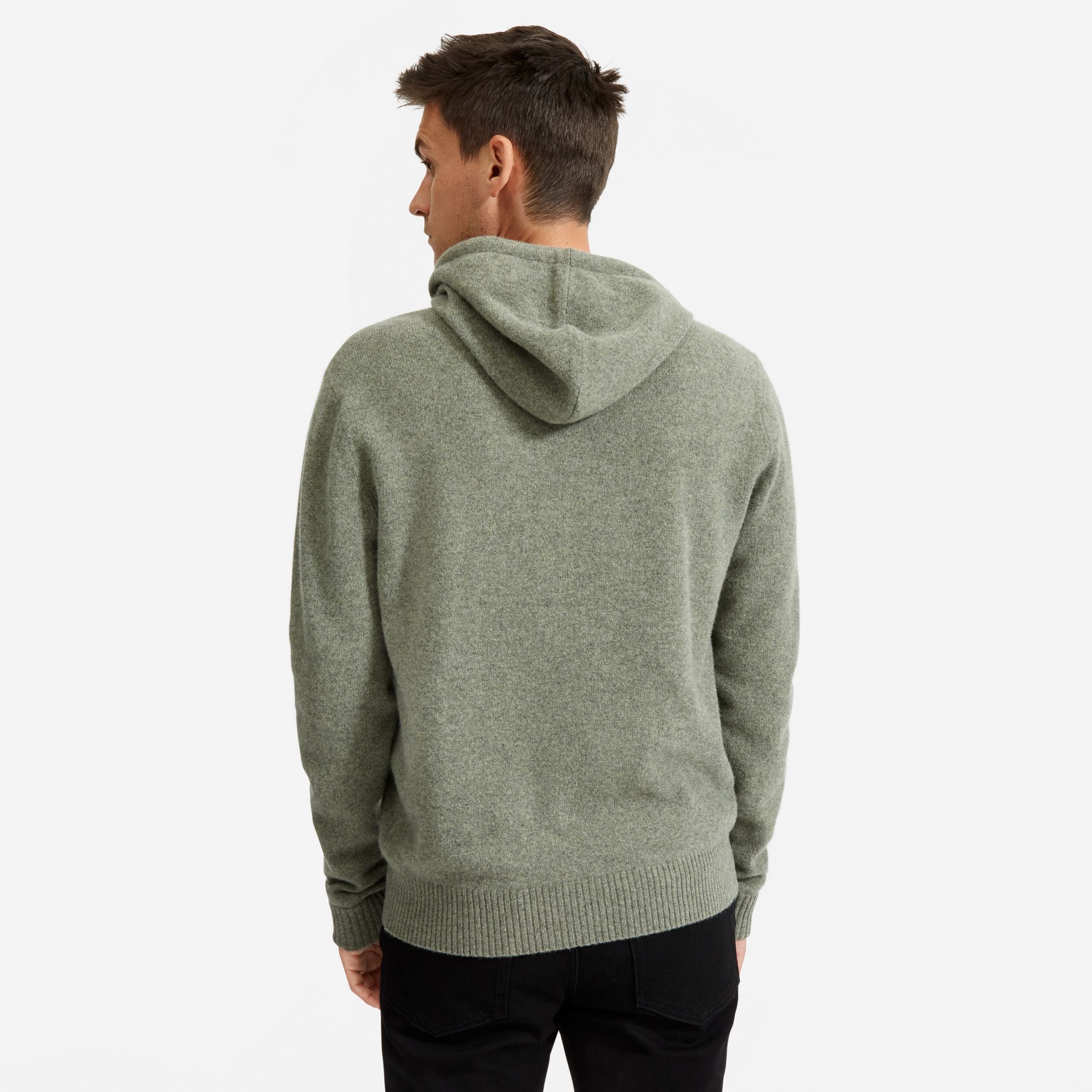 Everlane The Felted Merino Hoodie