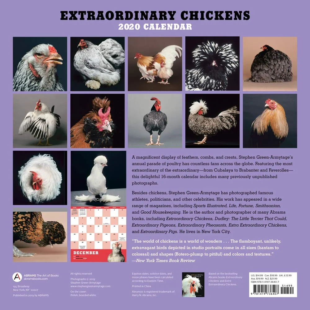 extraordinary chickens