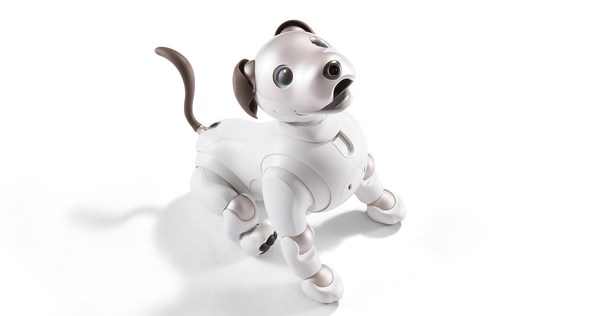 Aibo discount dog review