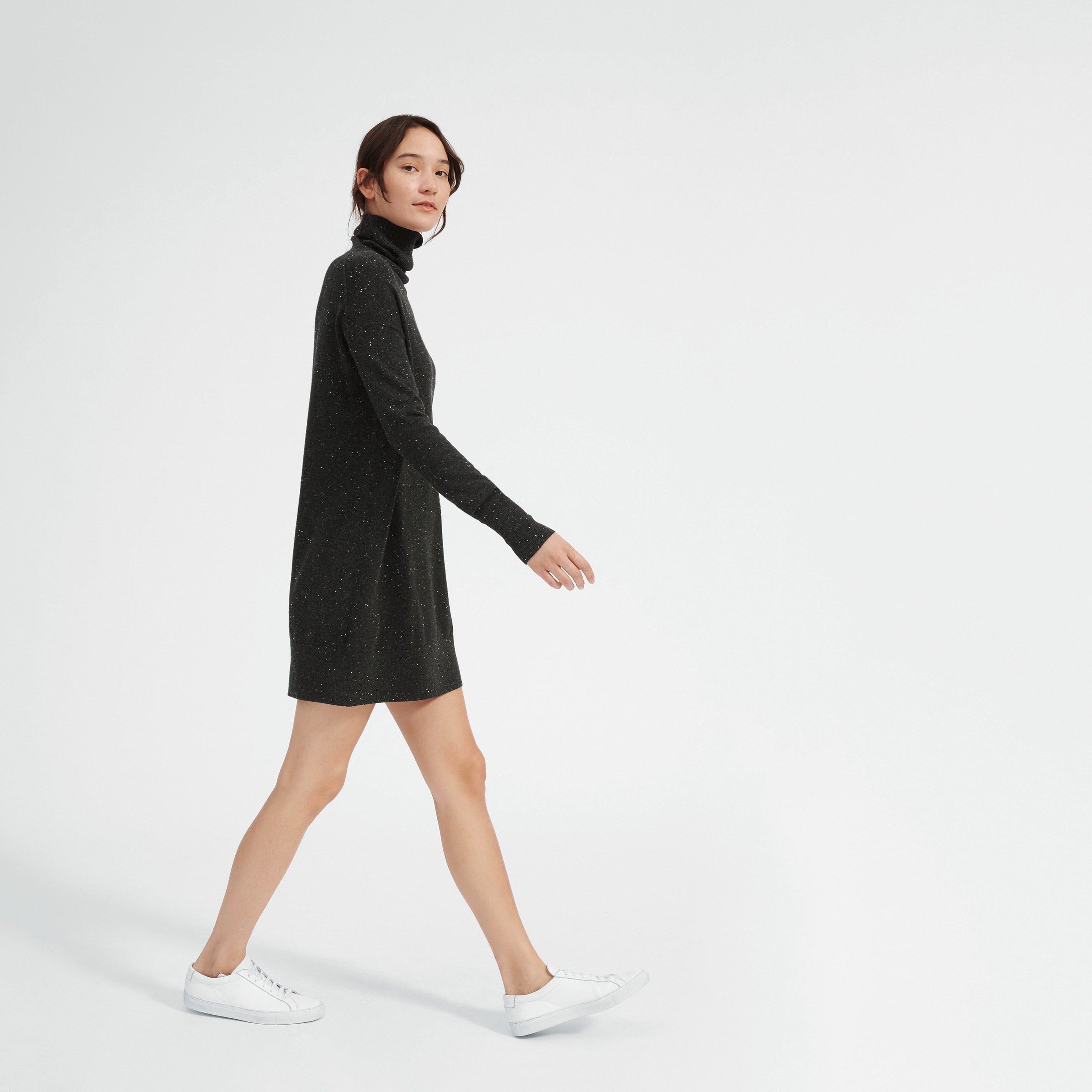 Everlane store turtleneck dress