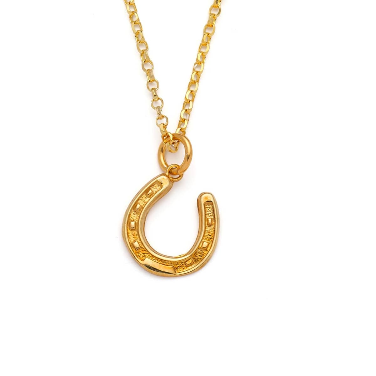 Harry Rocks + Gold Horseshoe Necklace