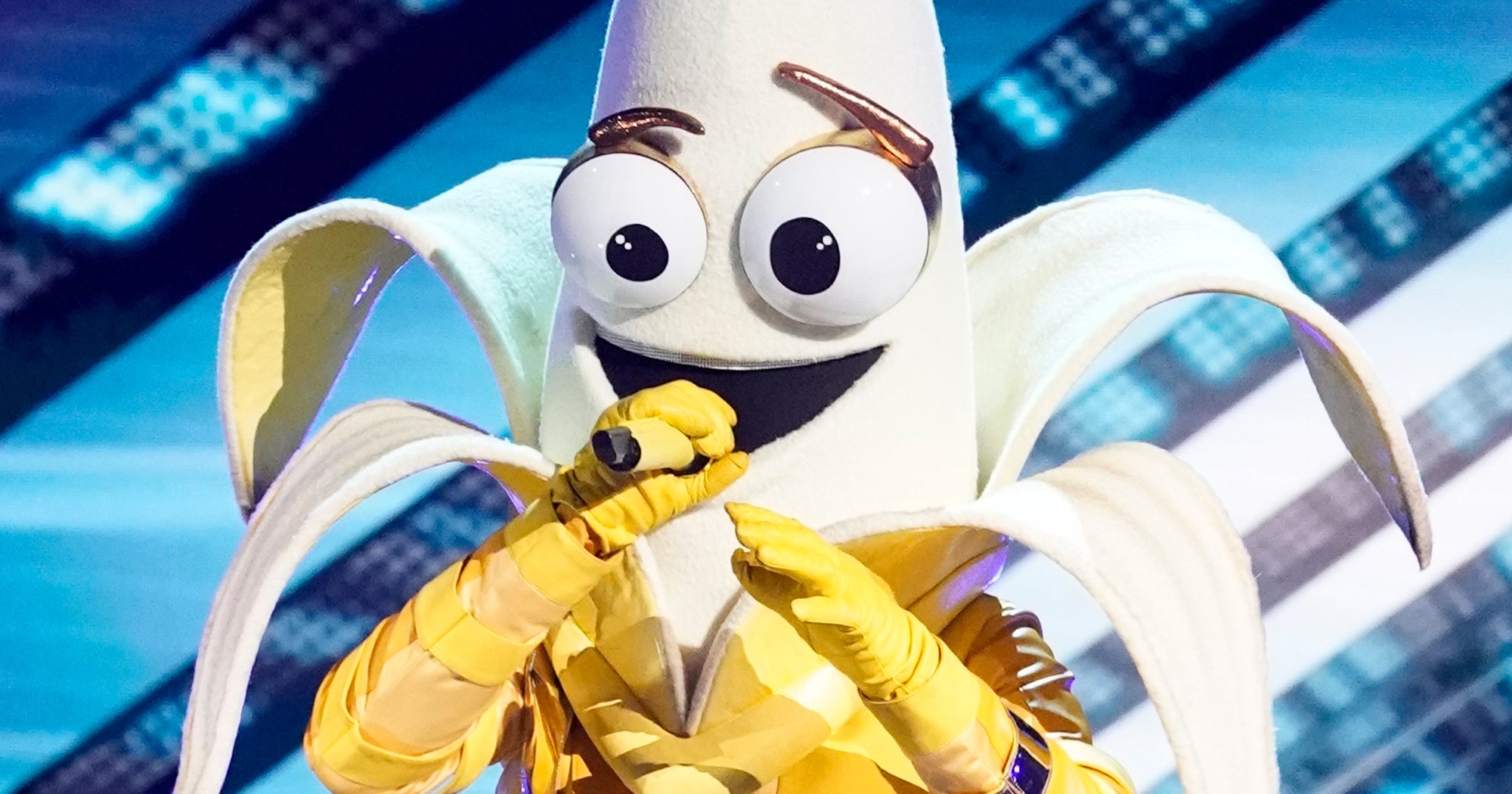 Clues That The Masked Singer Banana Is Bret Michaels