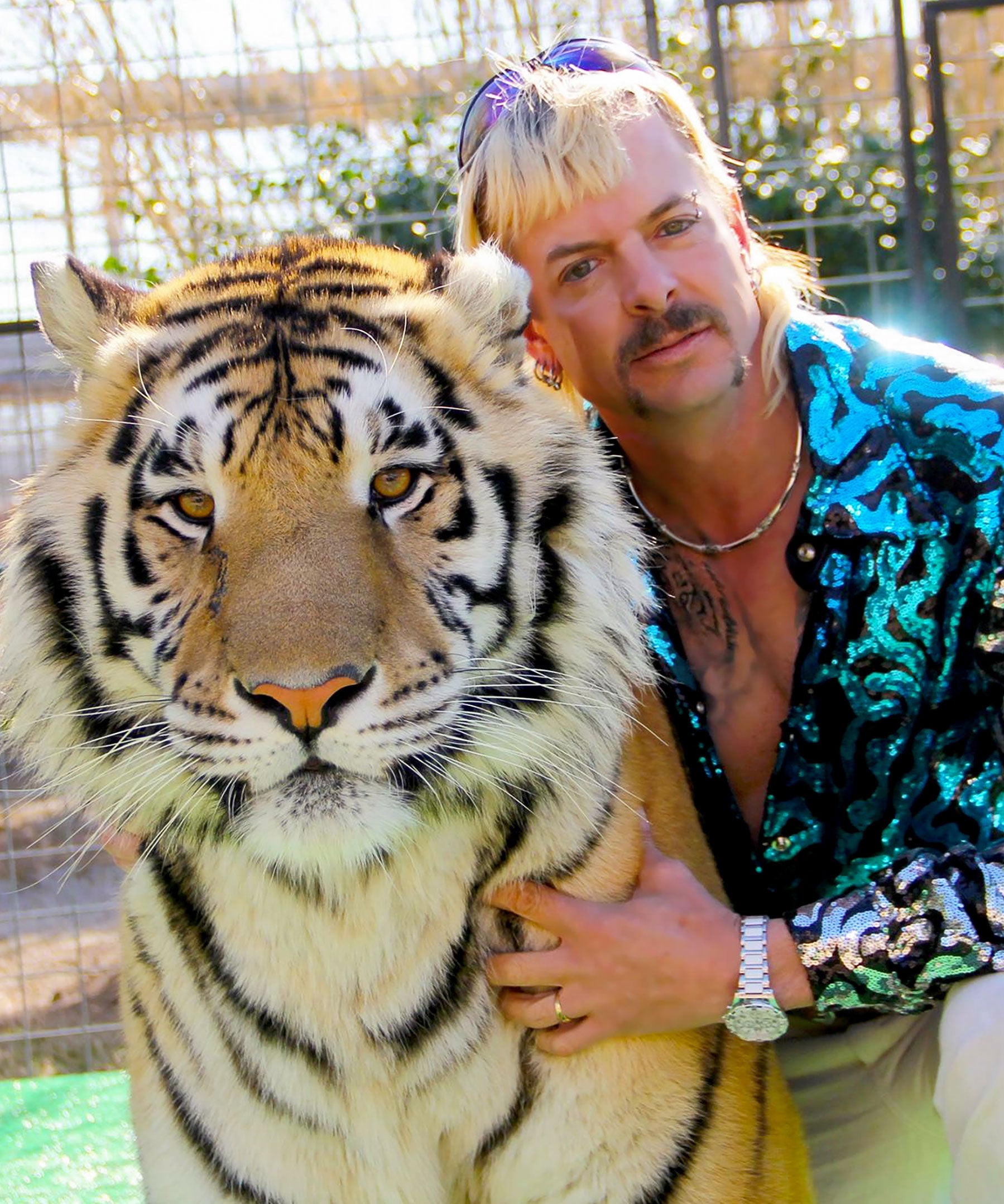 Streanmig Zoo Movies Porno - Who Is Joe Exotic? Netflix New Tiger King Doc Explained