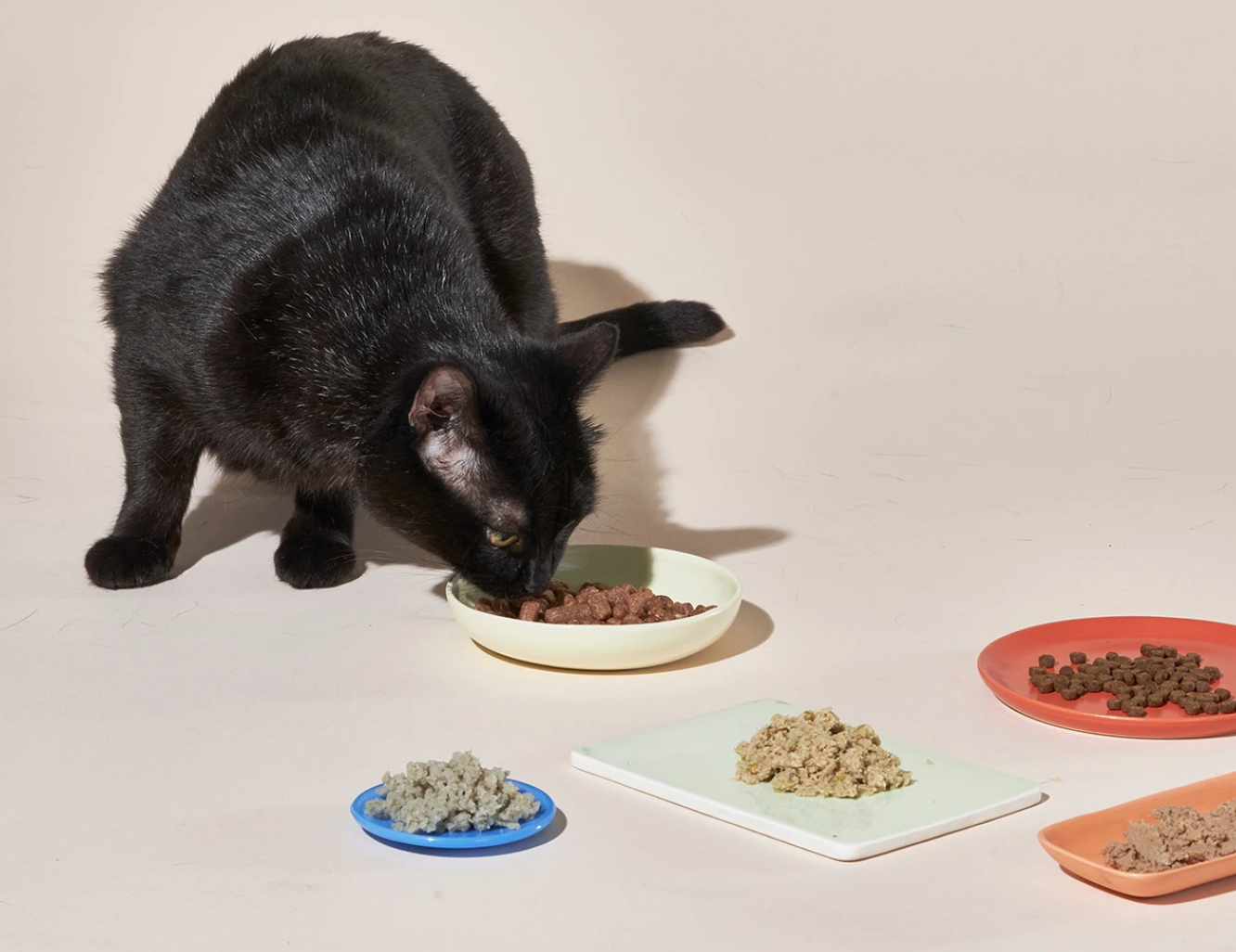 Smalls + Cat Food Sampler