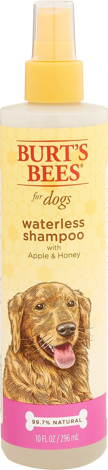 Is pantene safe for dogs best sale