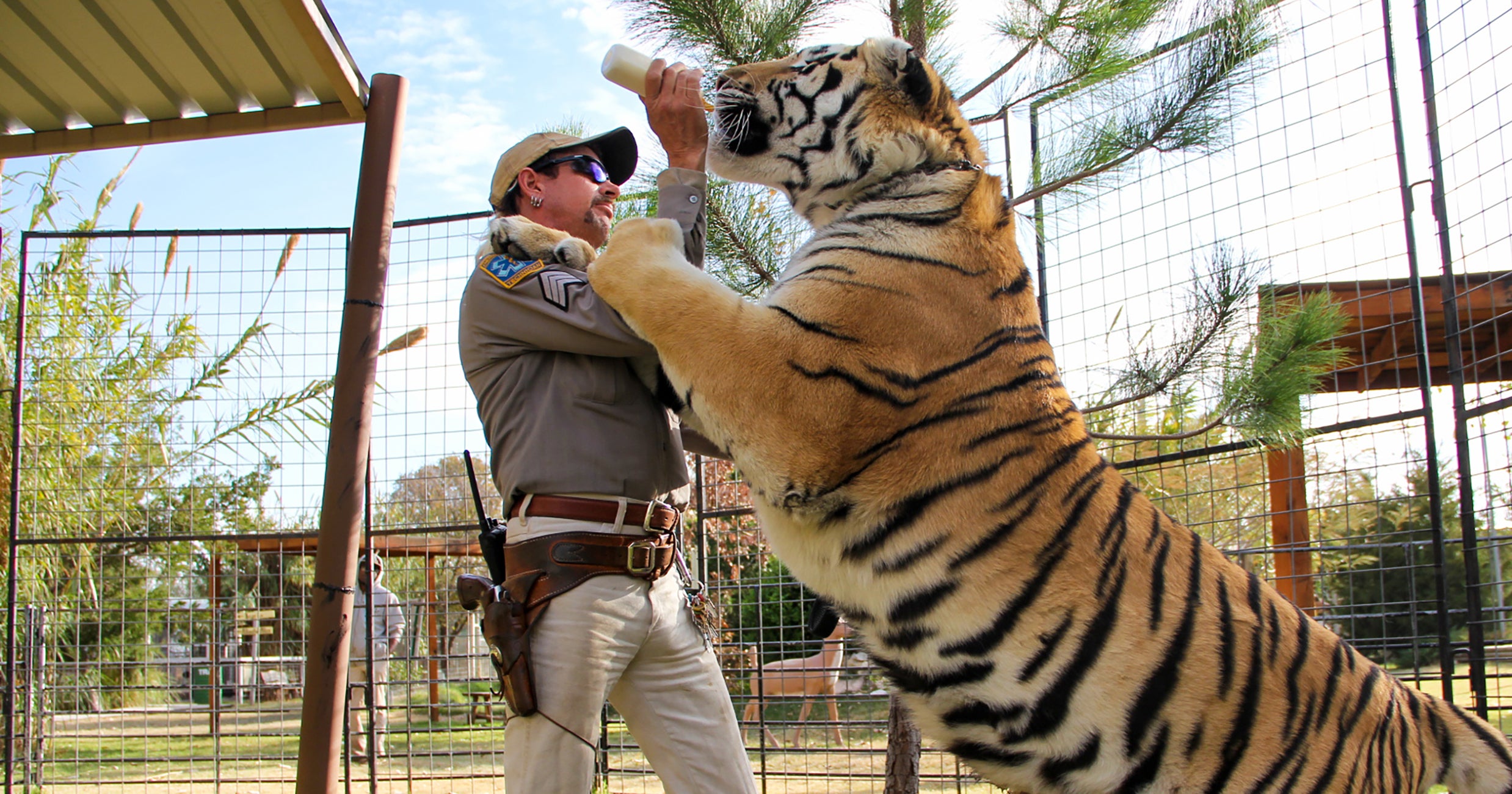 John Finlay On Getting New Teeth After Tiger King