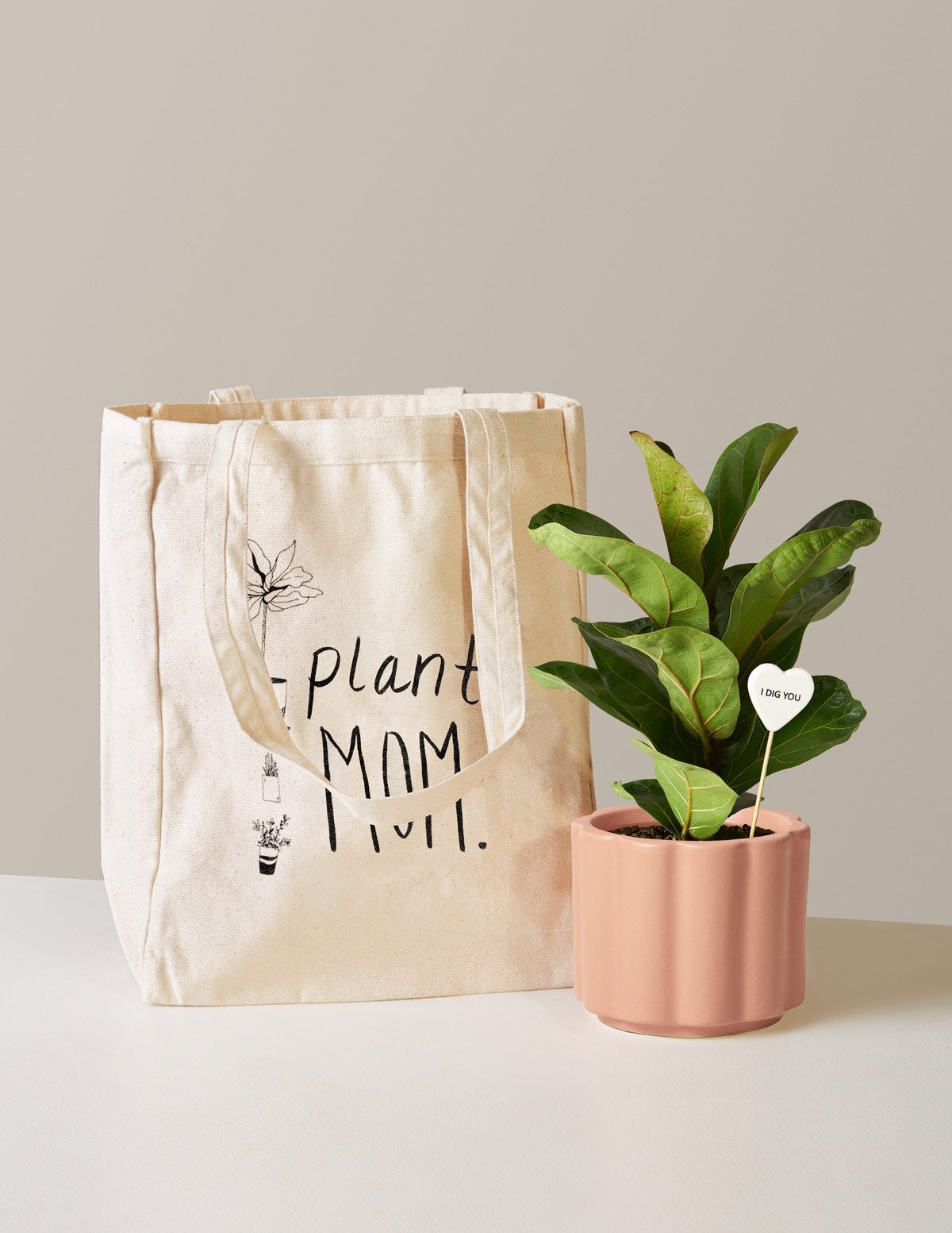 Gifts for plant store moms