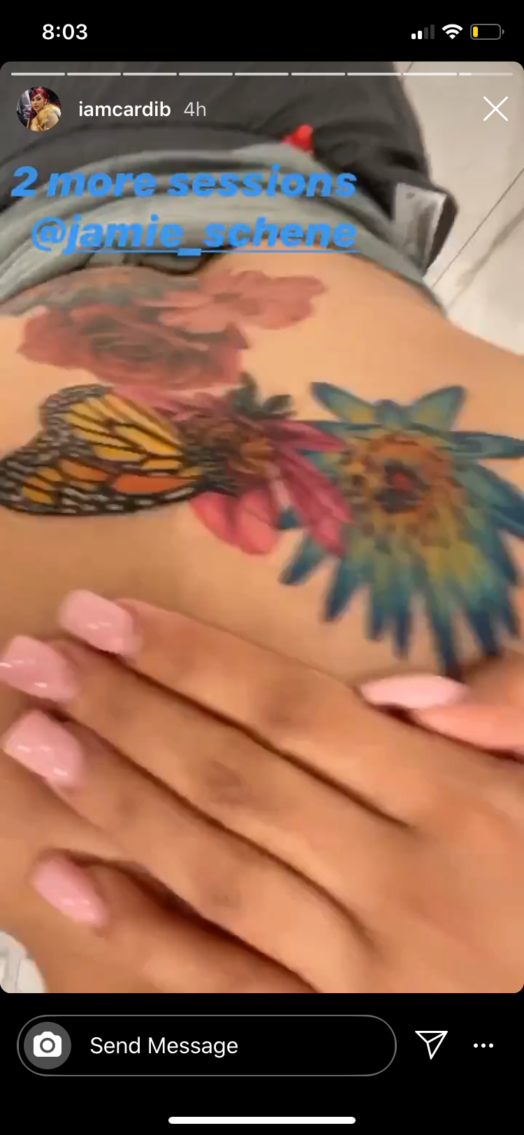 Cardi B Reveals 'Finally Finished' Floral Back Tattoo on Instagram