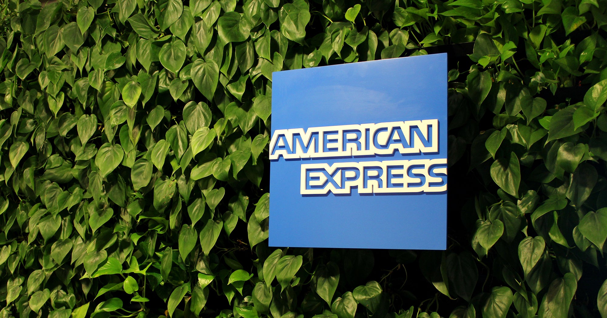 amex-gives-credit-card-users-50-to-shop-small-business