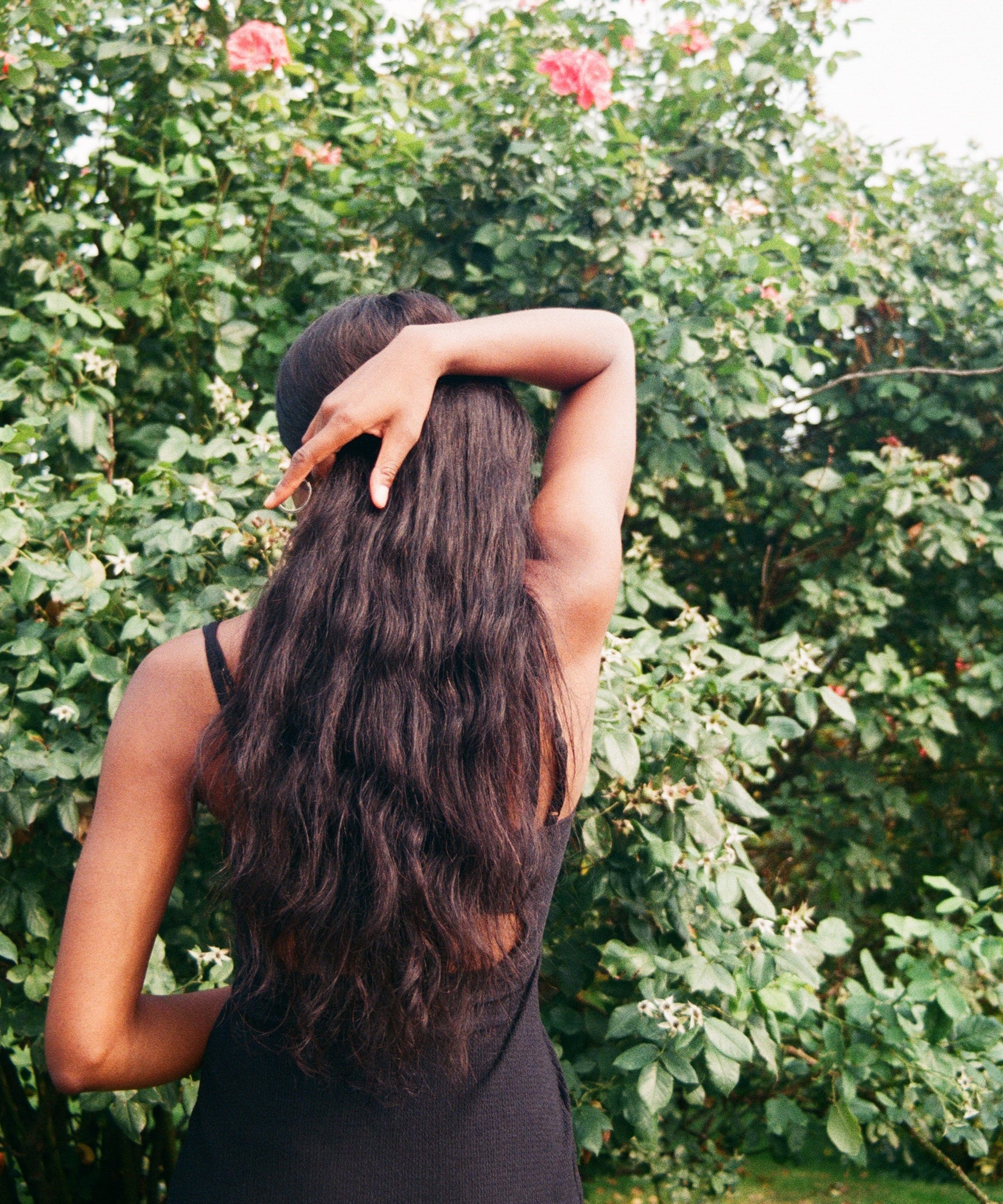 Back View Woman Long Hair Posing Stock Photo 352341482 | Shutterstock